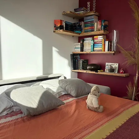 Vue Sur Le Golfe De Florent 圣弗洛朗